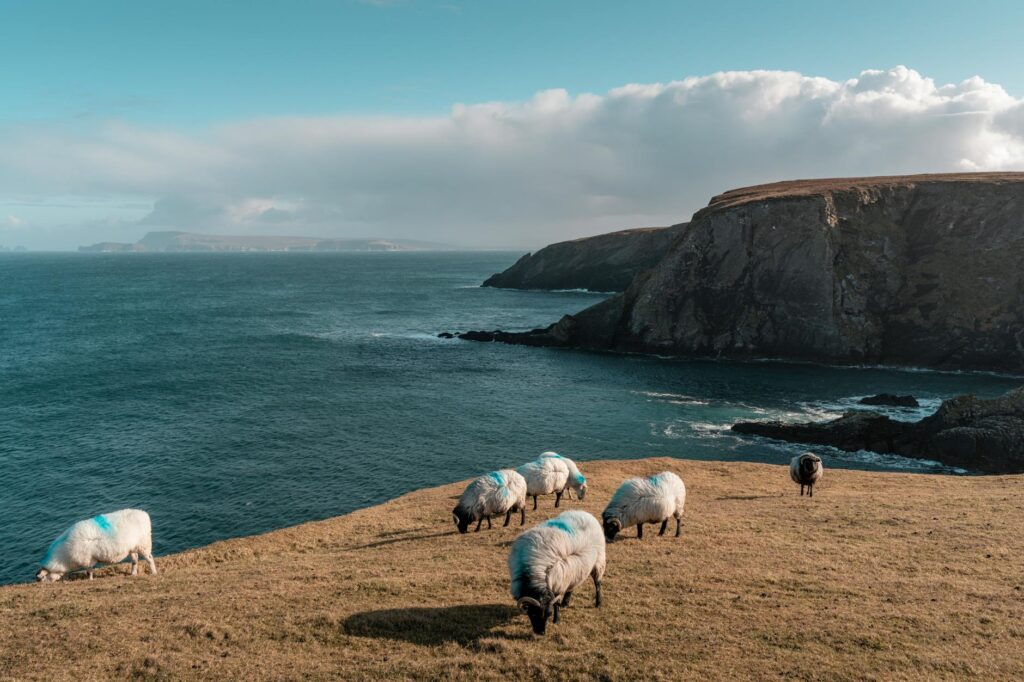 Coasteering in West Ireland 